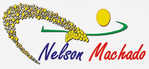 Nelson Machado - logo